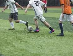 沙尔克,延续不胜纪,录至,米兰体育,米兰体育官网,米兰体育官方,米兰体育下载