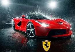 邓婕为爱情,牺牲生育,坚守诺言领,米兰体育,米兰体育官网,米兰体育官方,米兰体育下载